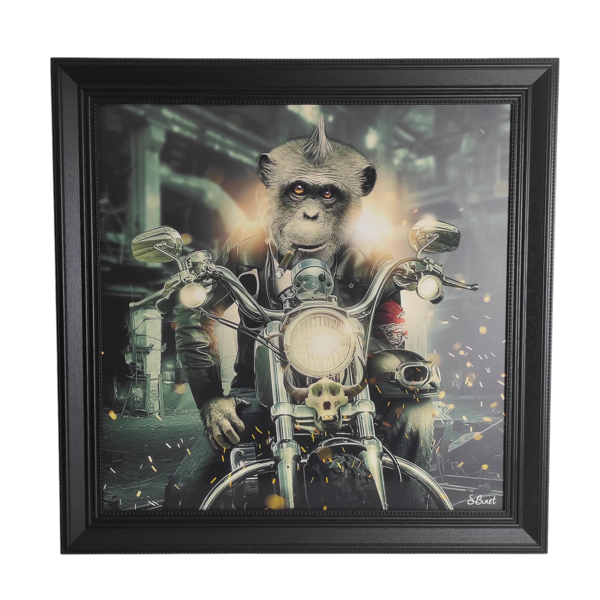 TABLEAU SINGE MOTARD PAR BINET 80/80 CM