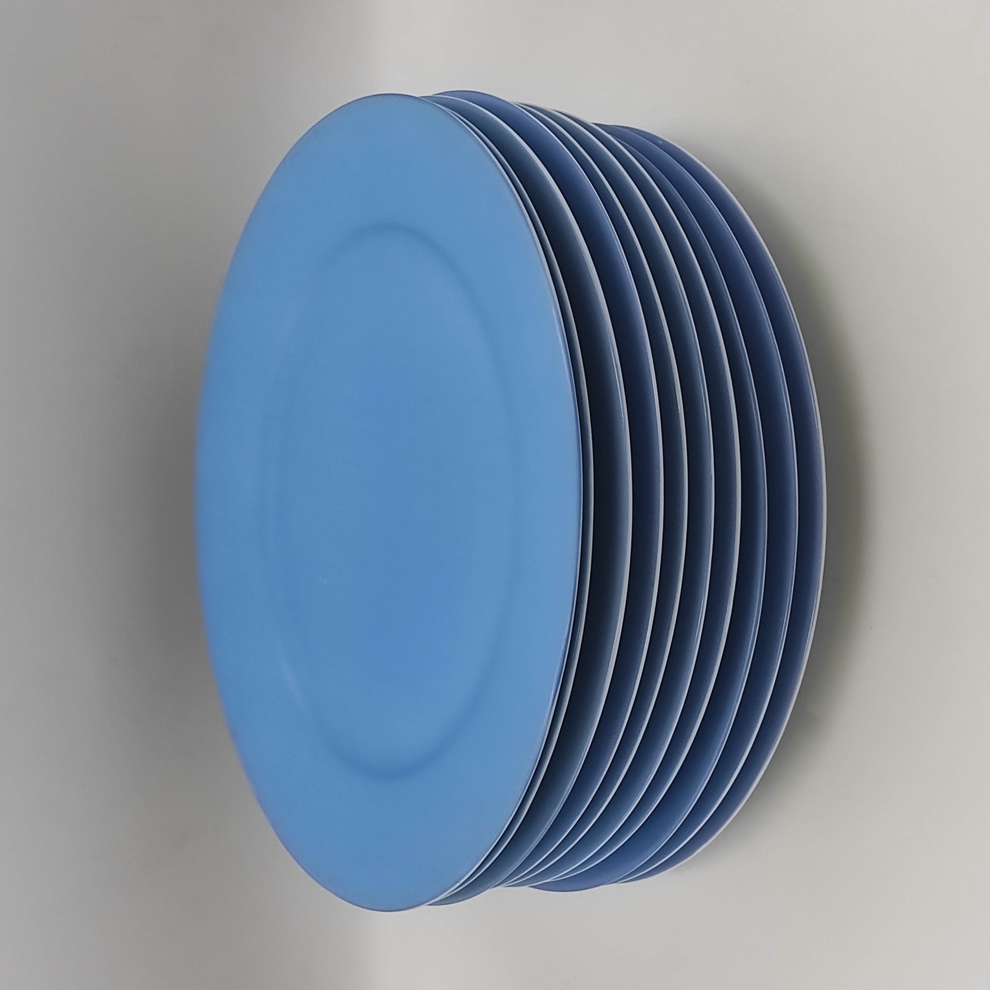 LIMOGES DESHOULIERES 10 ASSIETTES DE PRESENTATION BLEUES 
