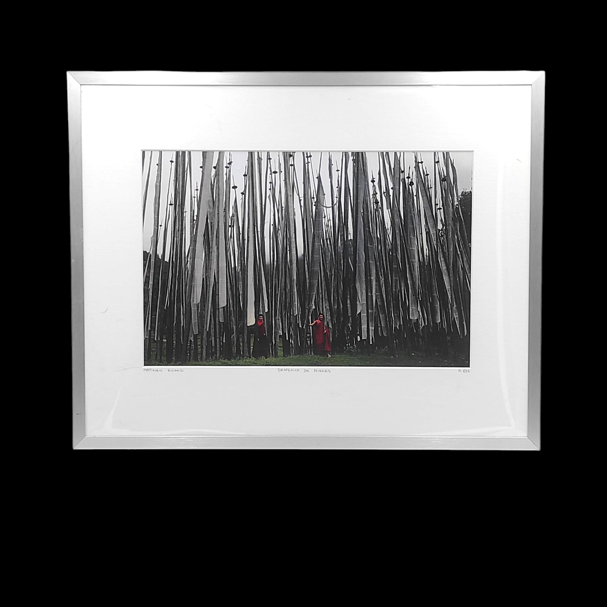 PHOTOGRAPHIE MATTHIEU RICARD DRAPEAUX DE PRIERES