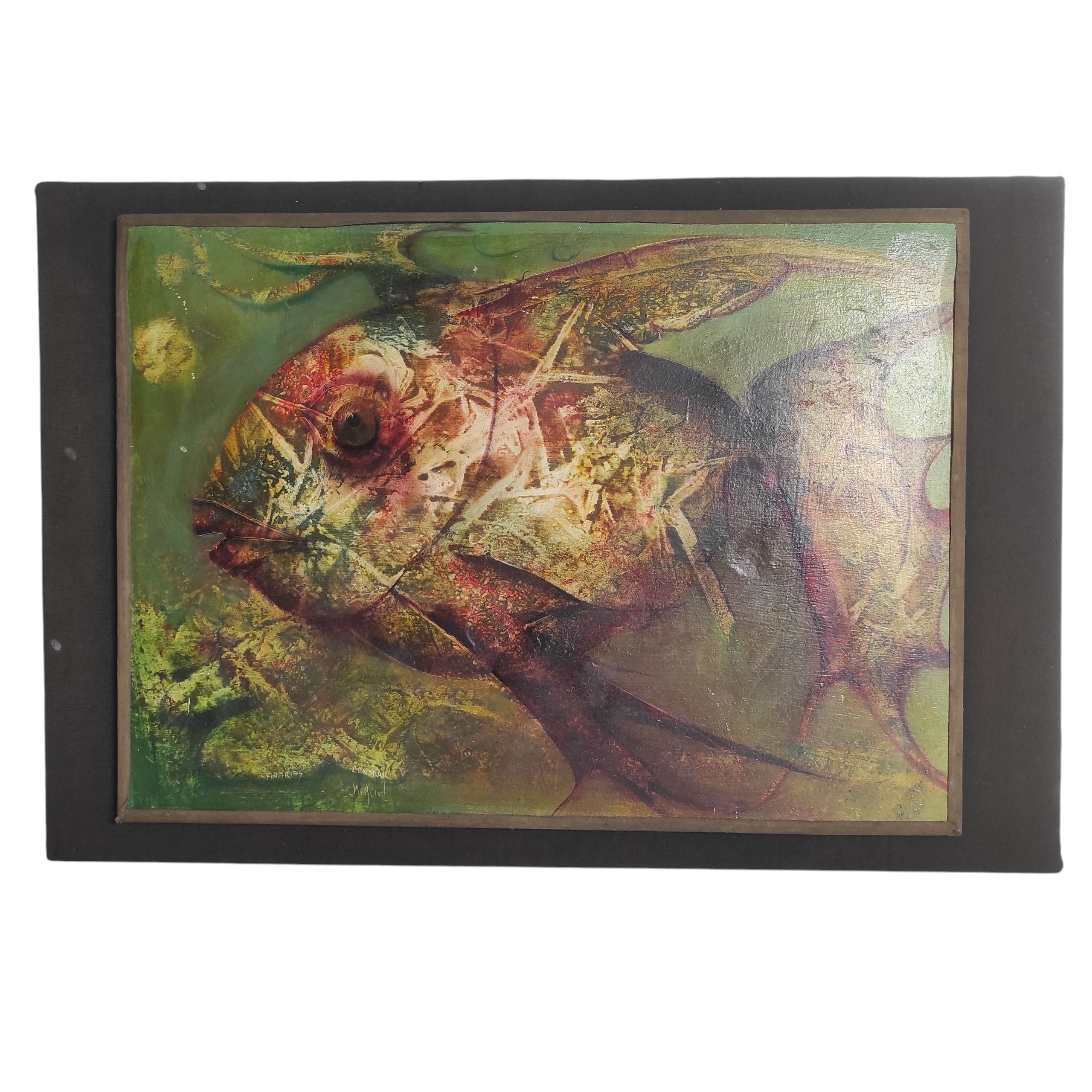 CONDRAK MIGUEL HSP POISSON DES ILES CANARIES 40 x 55 CM