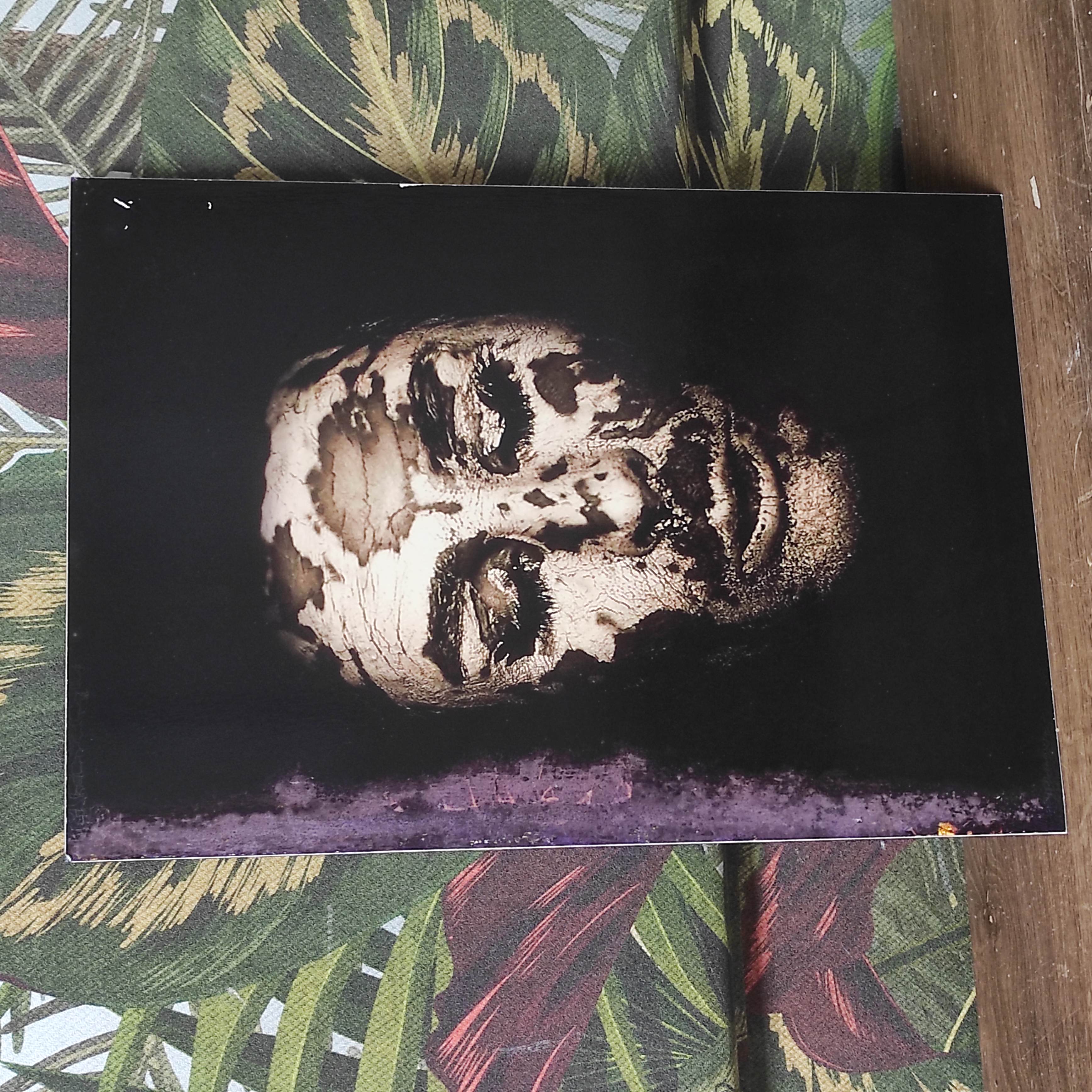 LUDOVIC GALIERO TIRAGE PHOTO LE BOULEAU SUR DIBOND EN L ETAT 50 X 35 + CERTIF