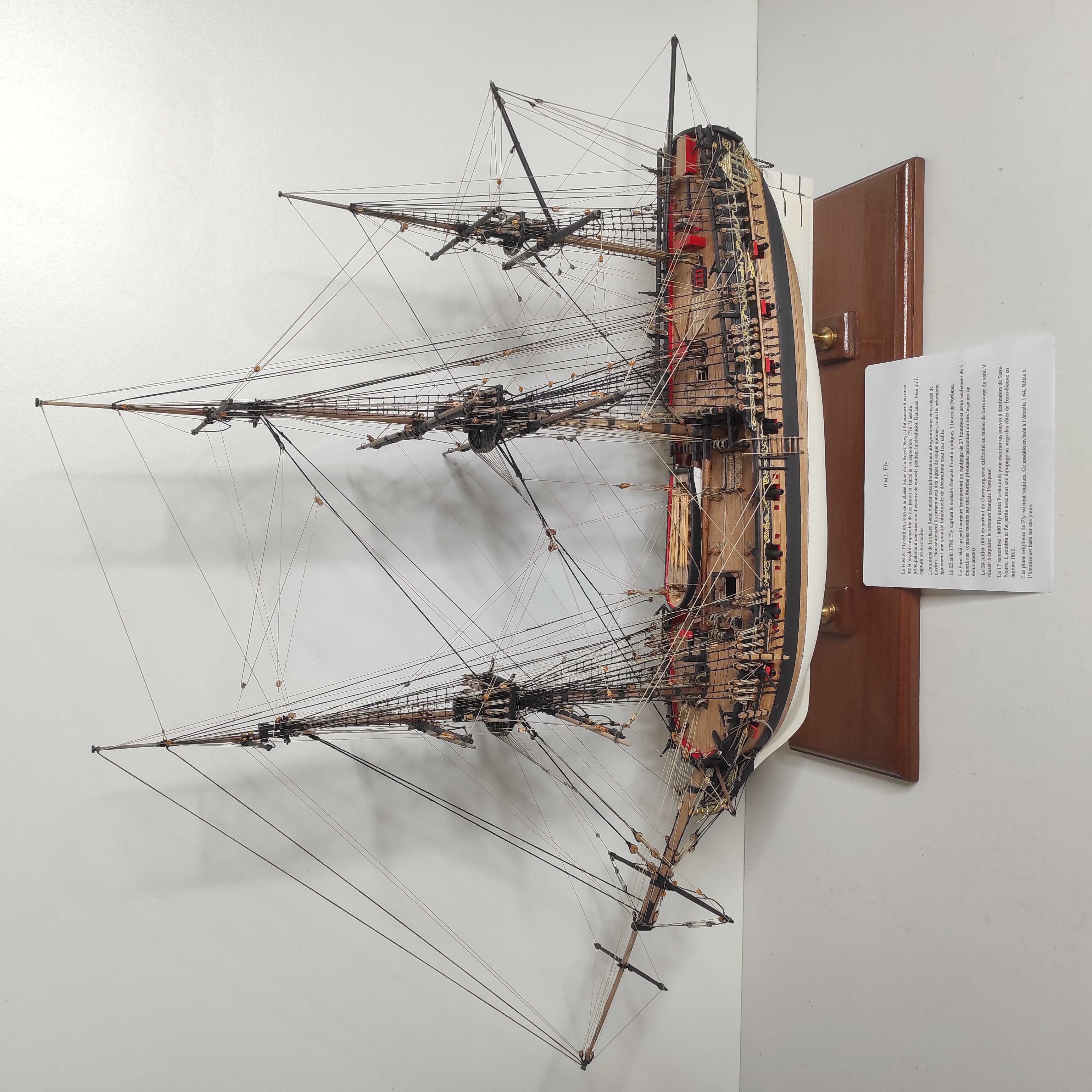 MAQUETTE DE BATEAU HMS FLY 80 X 67 x 30 CM