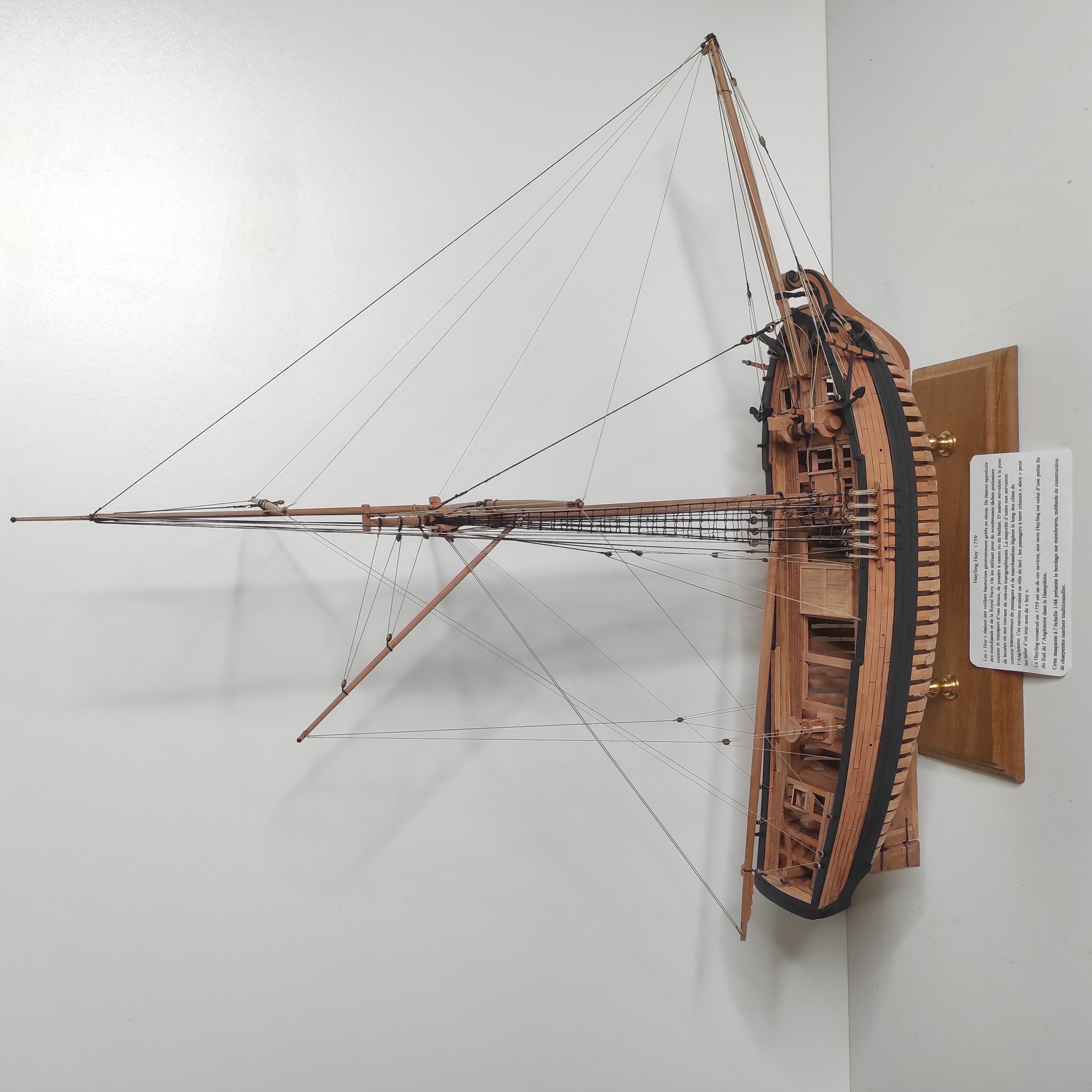 MAQUETTE ECORCHEE CHARPENTE MARINE HAYLING HOY 73 X 67 x 34 CM