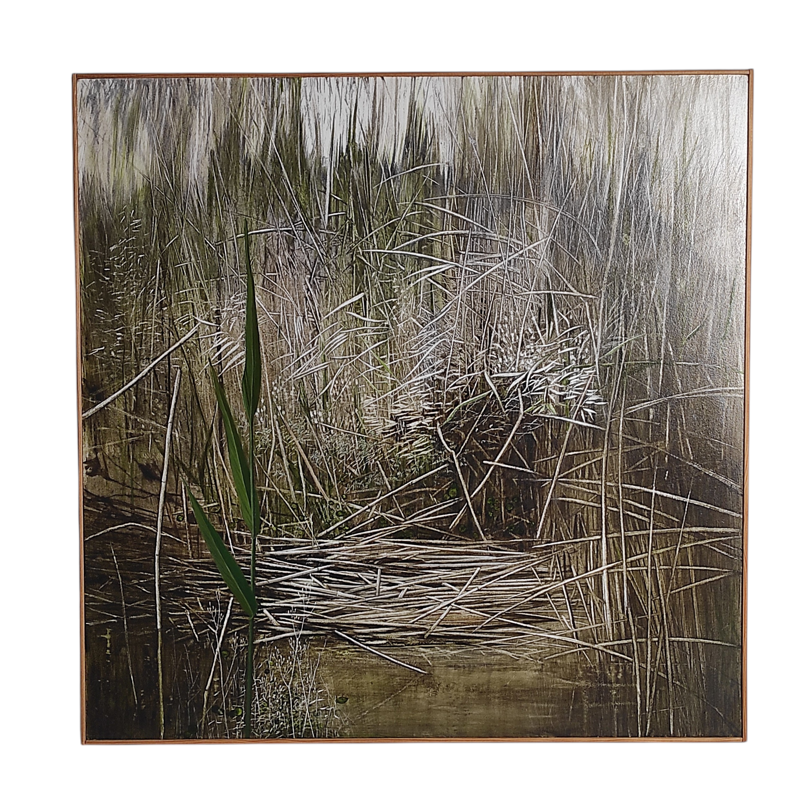 MONCADE HST LES MARAIS 60 x 60 CM