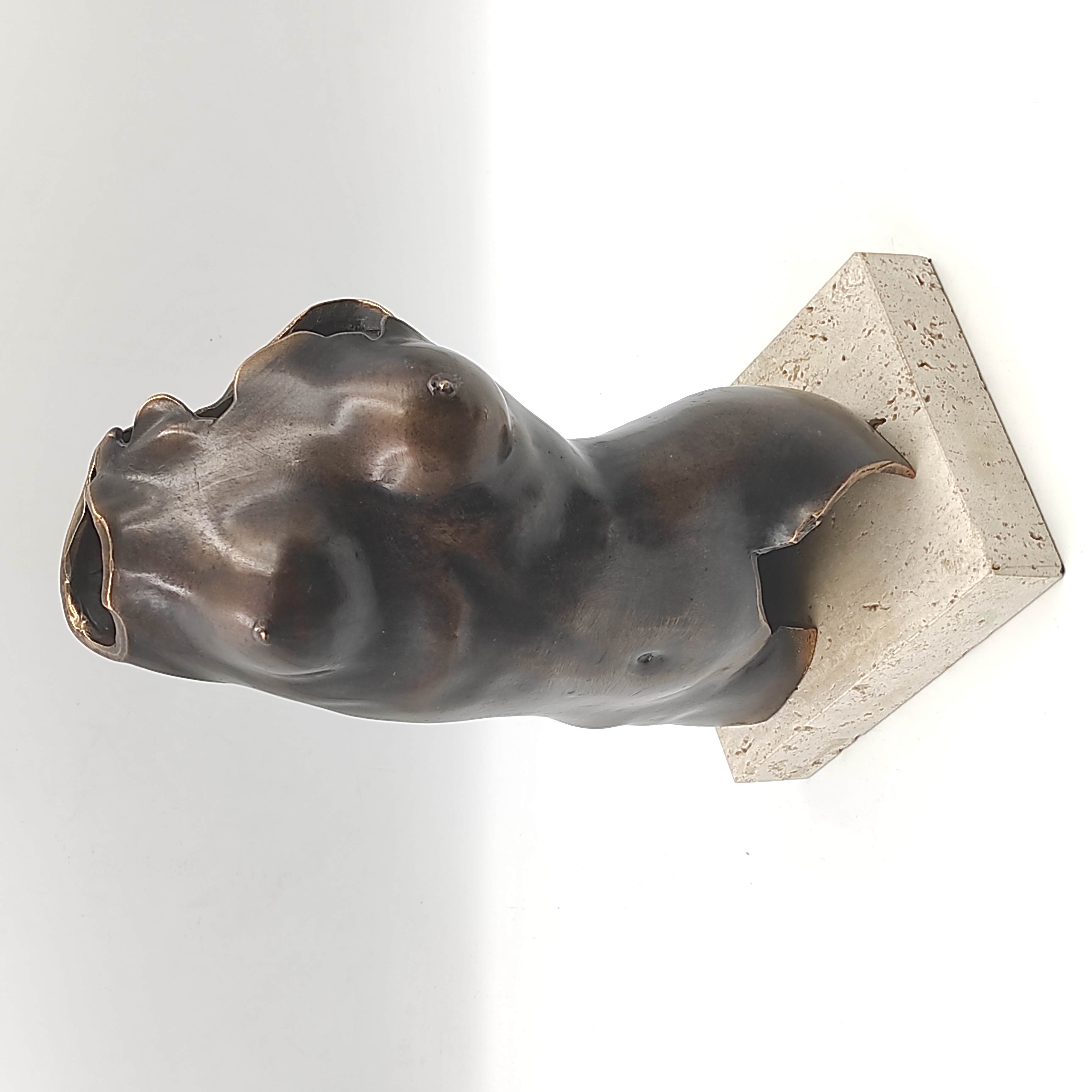 SCULPTURE EN BRONZE BUSTE DE FEMME 26 CM