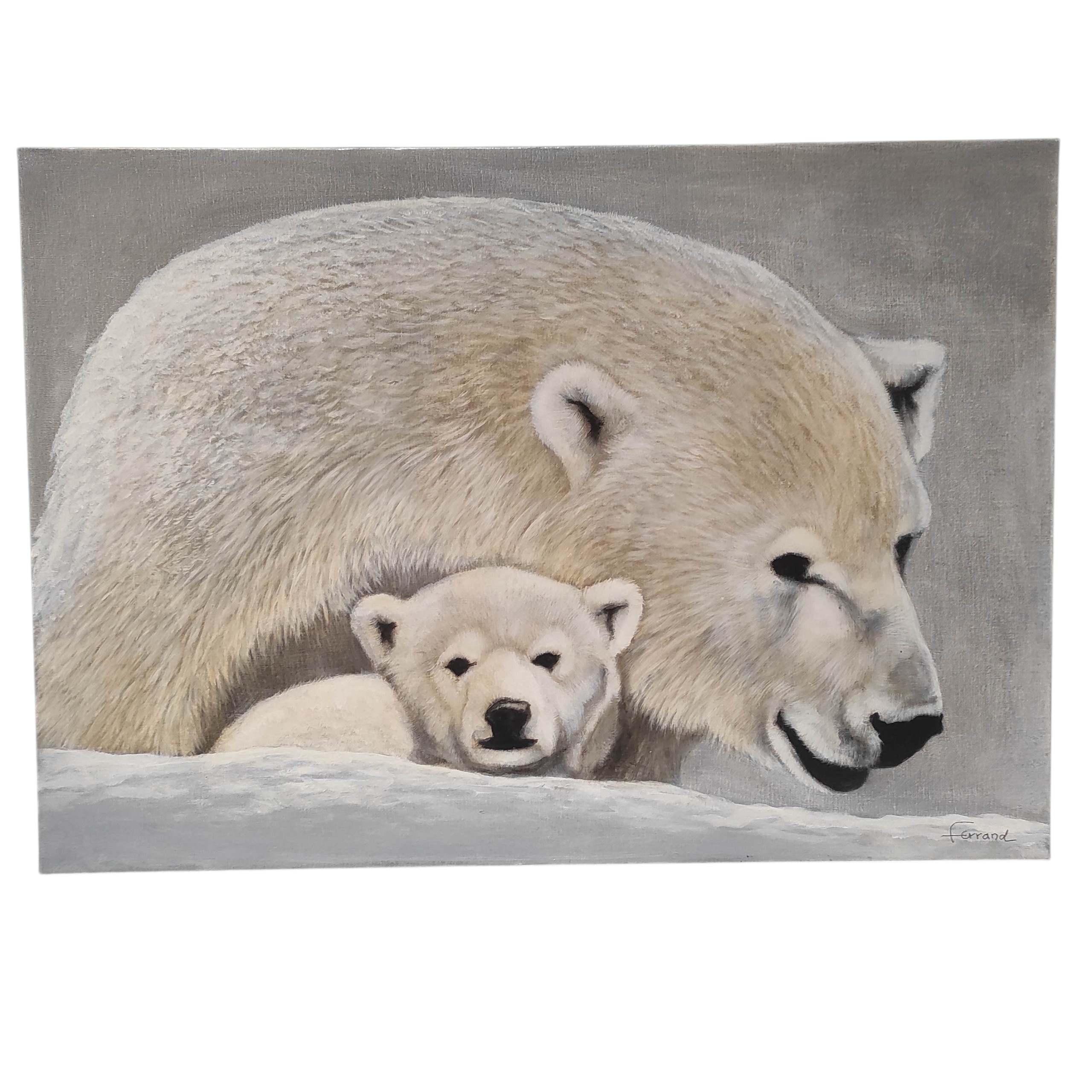 FERRAND HST LES OURS POLAIRES 65 x 93 CM