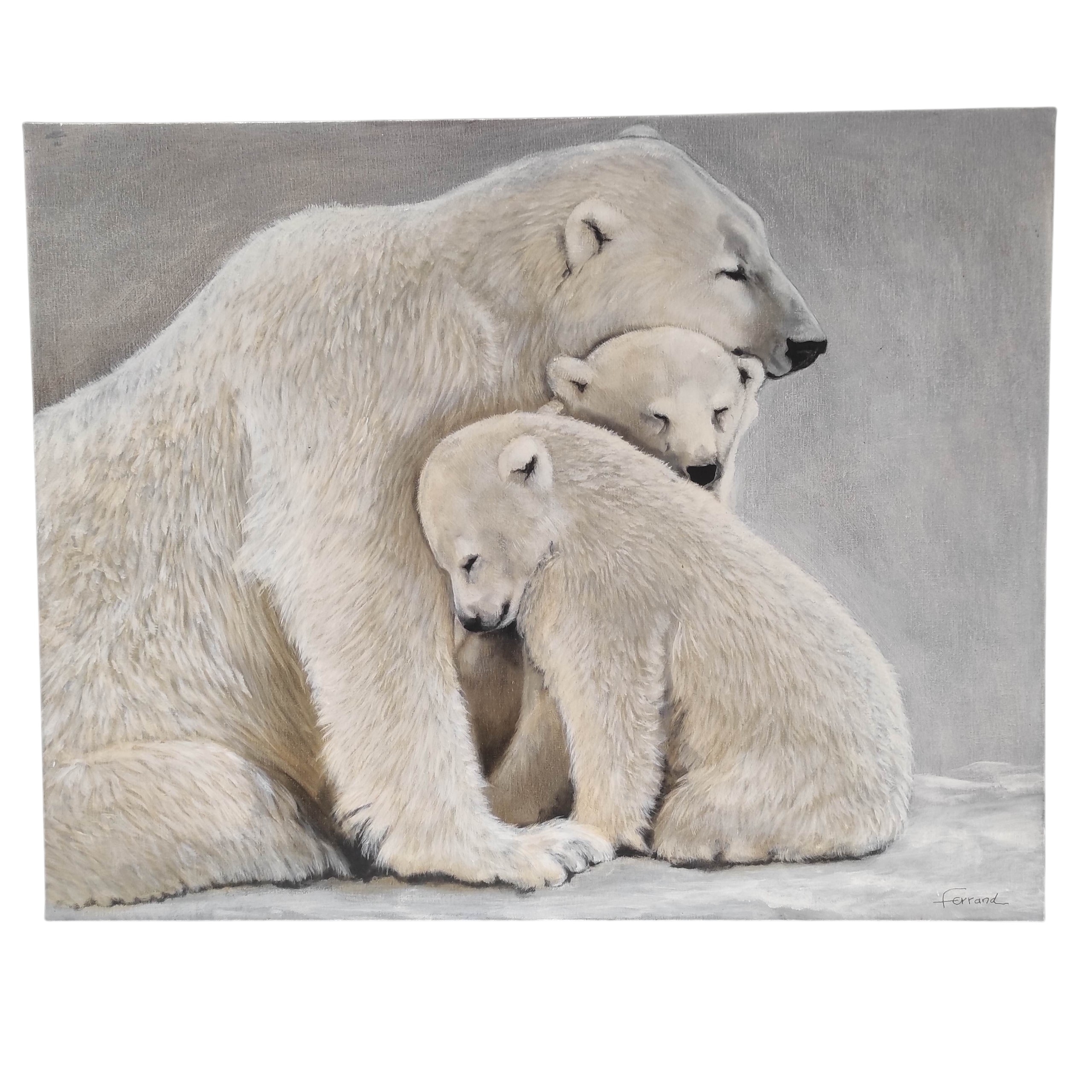 FERRAND HST LES OURS POLAIRES 73 x 93 CM